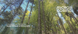 Microcosmi - 14 maggio - Cammina con Alessandro Venturi